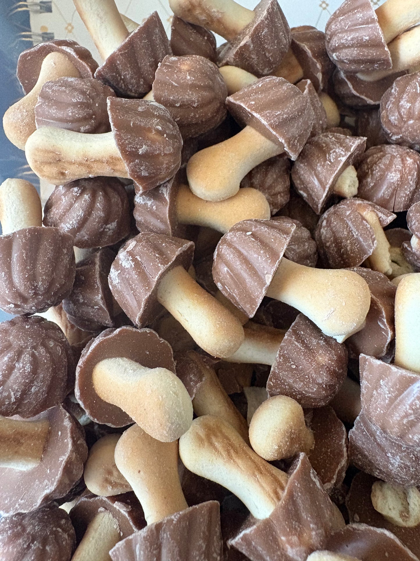 Champignons Choco-caramel (Lot de 10)