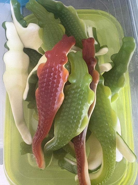 Alligator XL Pierrot Gourmand