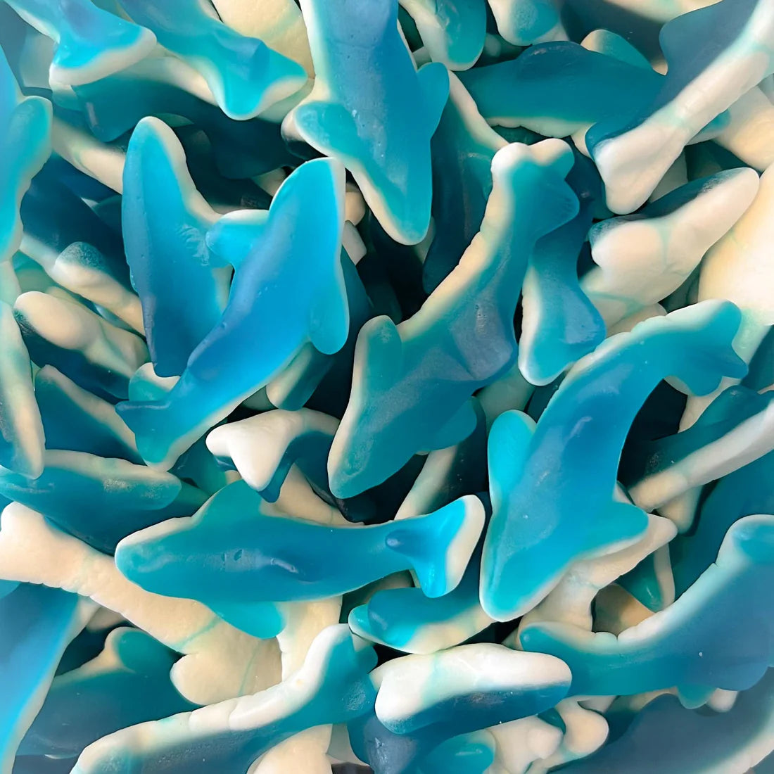 Requin bleu Trolli