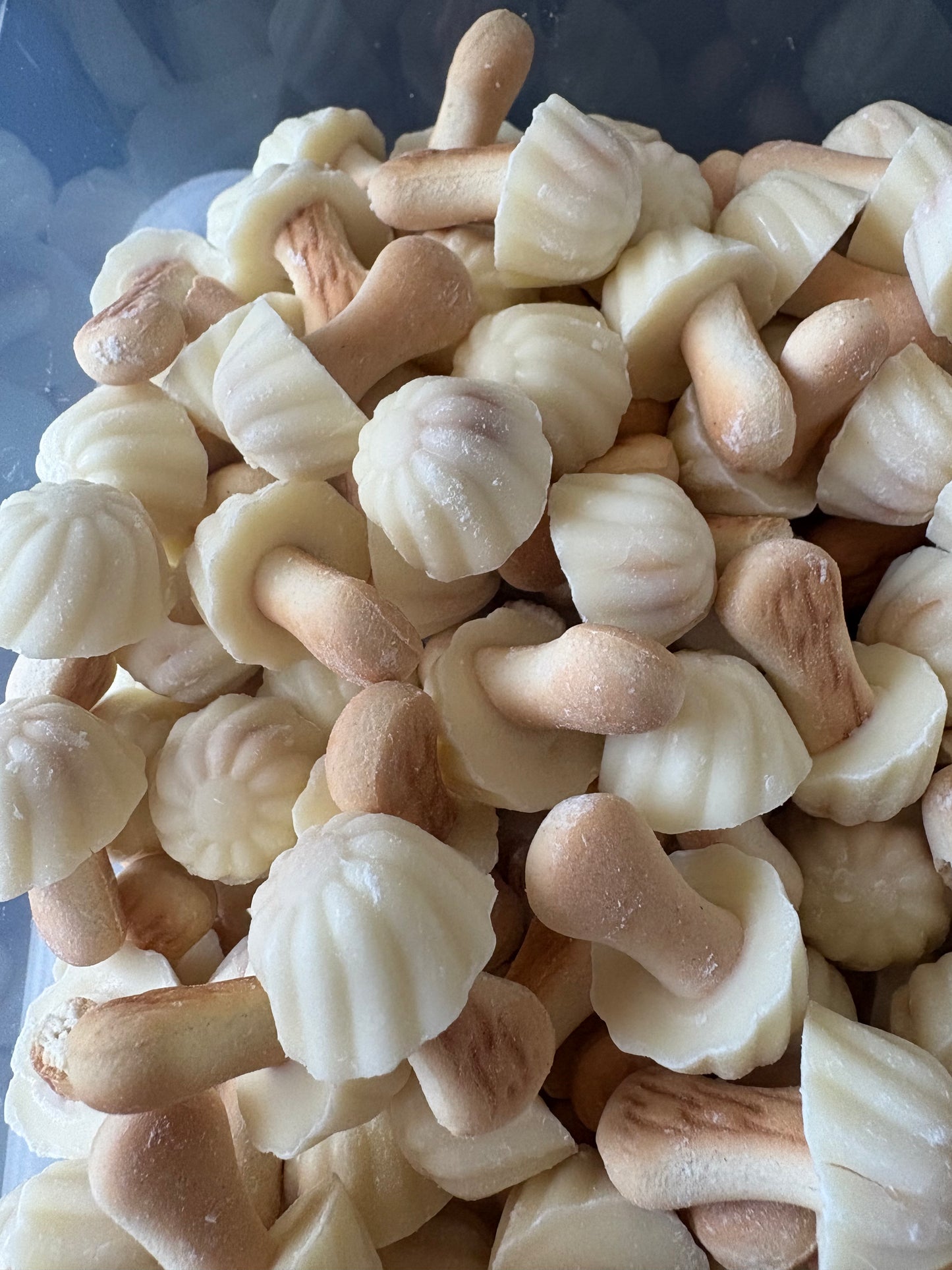 Champignons Biscuits Chocolat Blanc (Lot de 10)